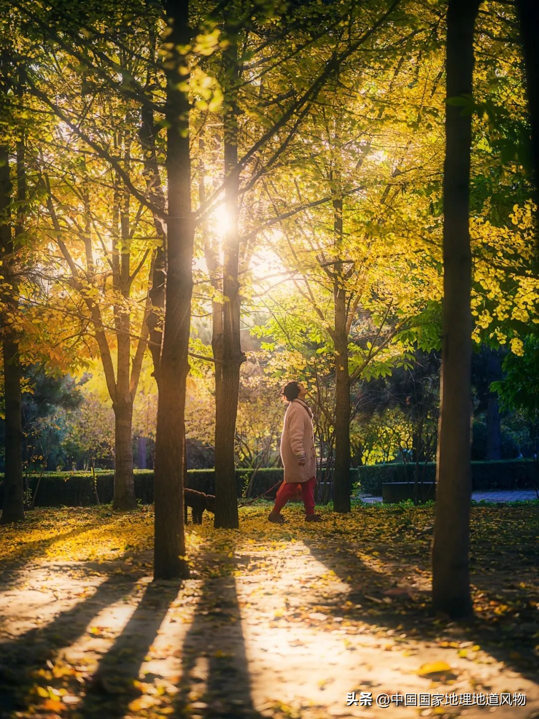 中国夏天地图全图,中国秋色地图