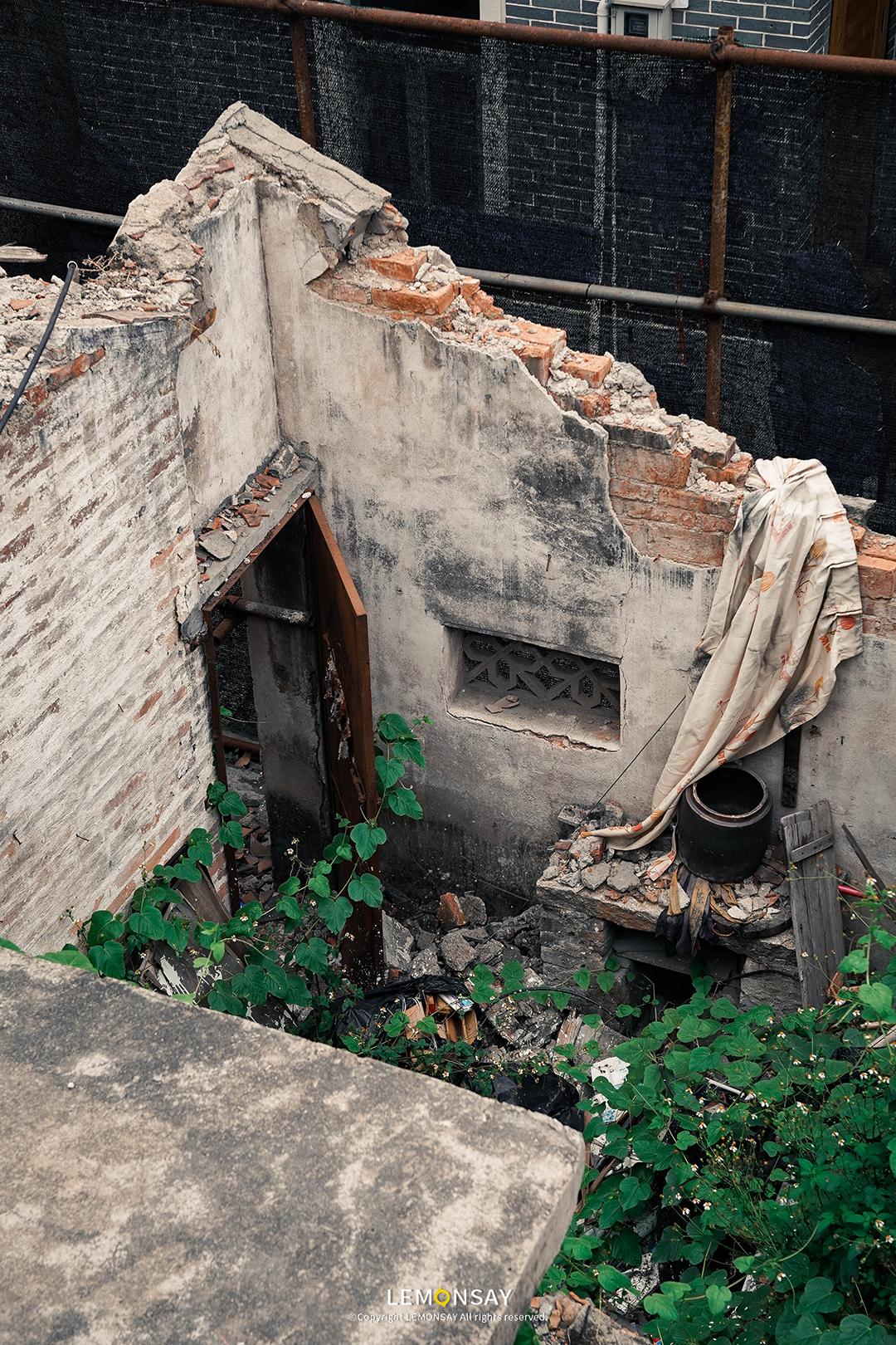 沙井的蚝,沙井为什么这么多蚝