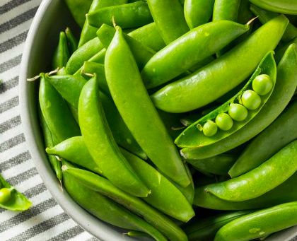 明星节食减肥怎么没有暴食反弹的,节食减肥第三天体重怎么反弹了