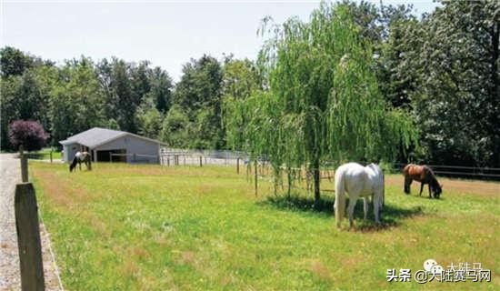 足球技巧专业术语大全,你不知道的车辆冷知识
