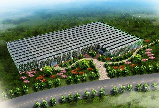 简易连栋温室大棚一亩地多少钱,河北连栋温室大棚一亩地多少钱