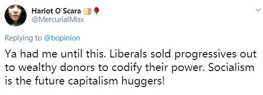 关于社会主义的摘要,关于社会主义好的文章