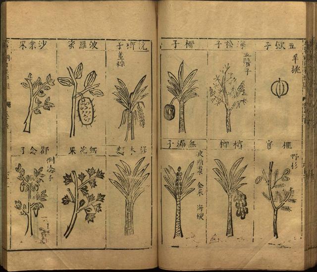 李时珍与本草纲目ppt课件,神农本草经正版李时珍书籍