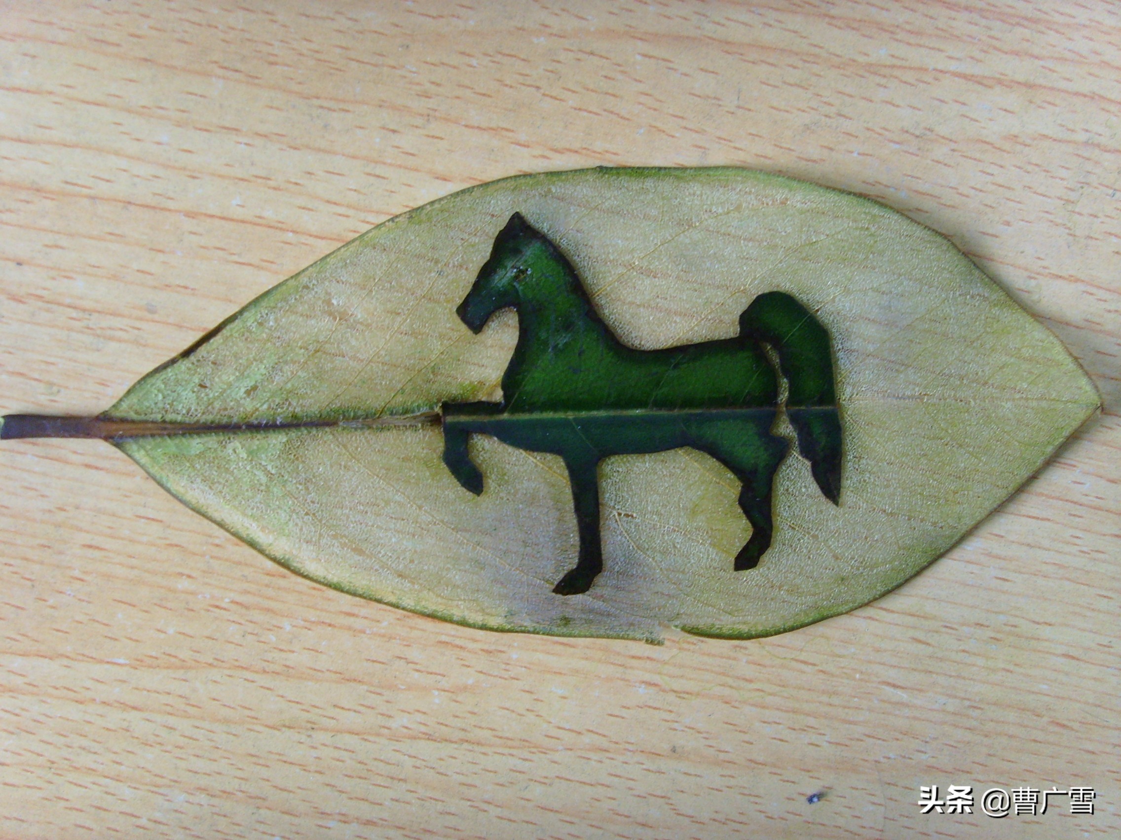 叶脉造型创意画幼儿作品,孩子喜欢的儿童创意画教程6-7岁