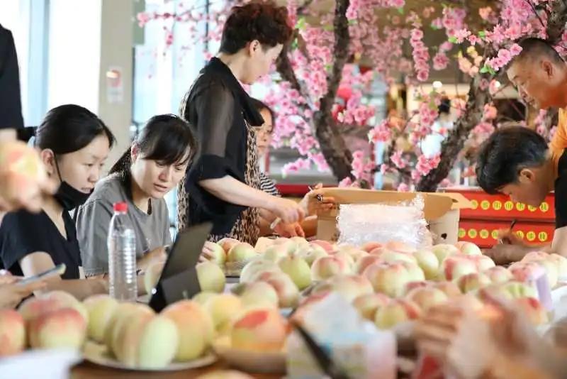 无锡阳山水蜜桃2019年桃王,一看就好吃玫瑰玫瑰