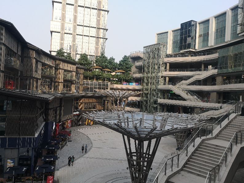 swisse饮品探店 (swisse 营养颜究美茶馆探店)