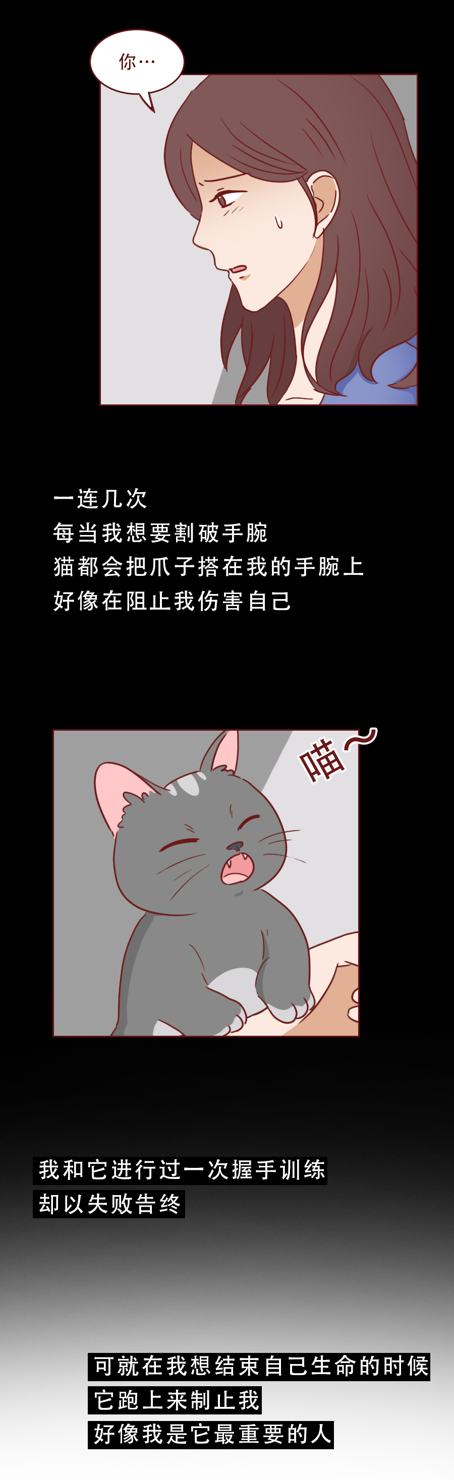 捡回来抑郁的猫,捡回一只小猫原居民抑郁了