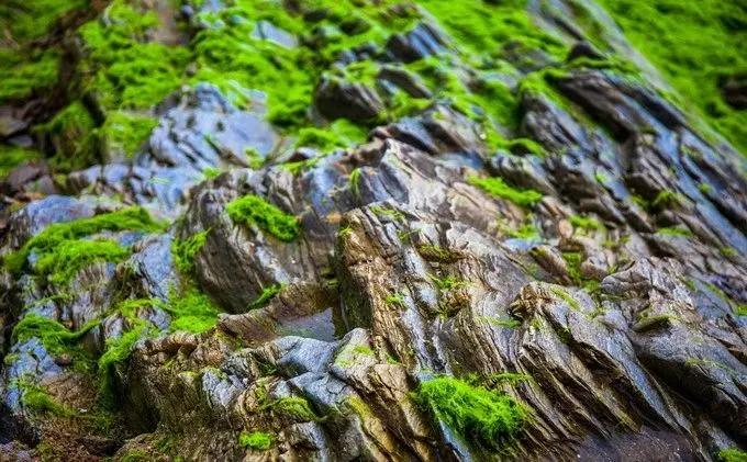 吹爆！这个文艺低调的滨海小城比芭提雅更令人向往！2天1夜刚刚好！