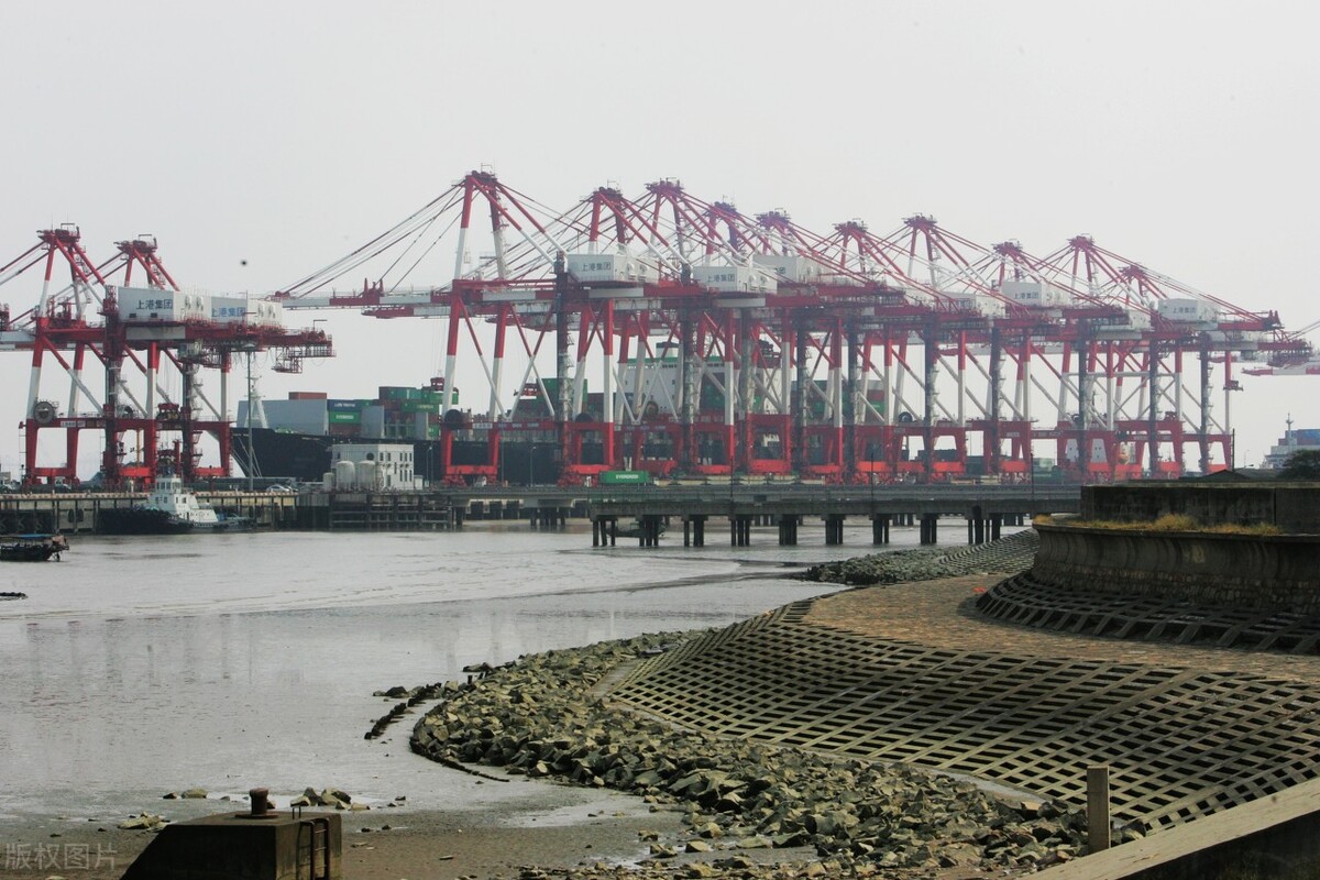 上港引援调节费,上港转会调节费