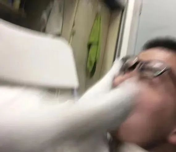 坦克小希和牧野奇迹怎么选,坦克小希和醇粹猫粮哪个好