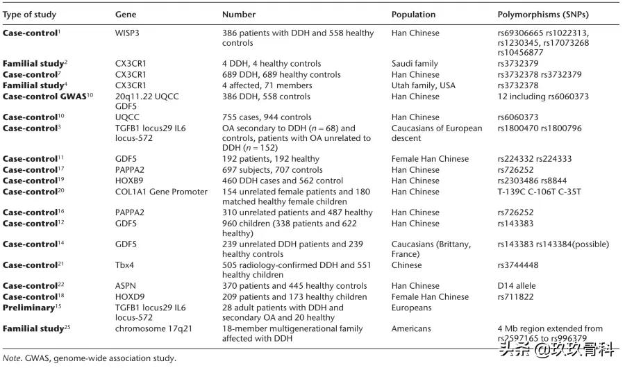 髋膝关节文献精译荟萃