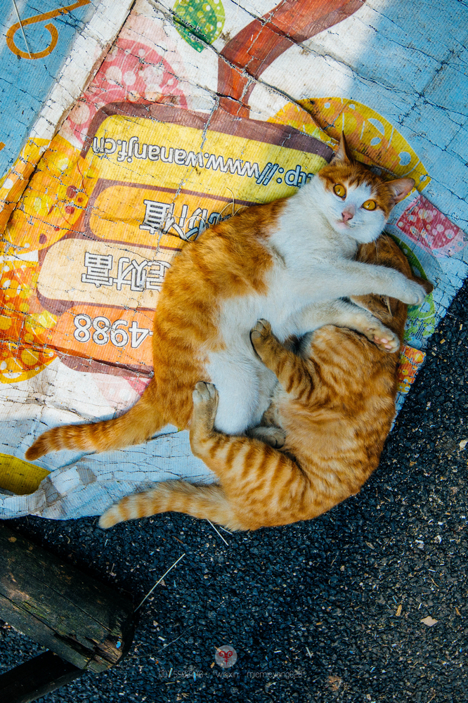 走进中国历史文化古村落,中国箫笛之乡在哪里