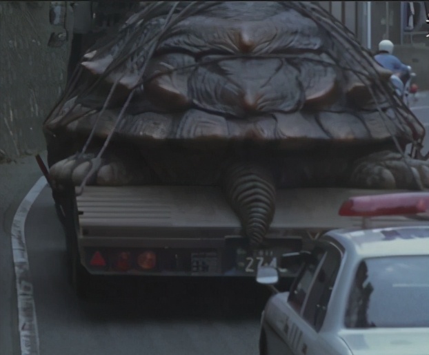 解密65年黄河巨龟,黄河发现巨龟事件真相