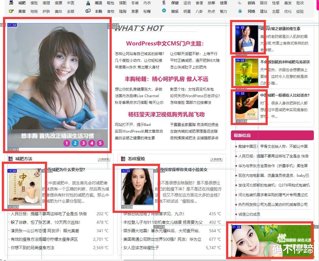 wp主题制作教程,wordpress本地配置主题布局