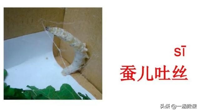 学拼音幼小衔接拼音认读,汉语拼音音节幼小衔接大班