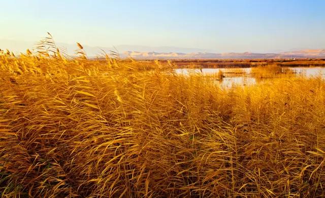 做生意要讲诚信图片,做生意要讲诚信的文案