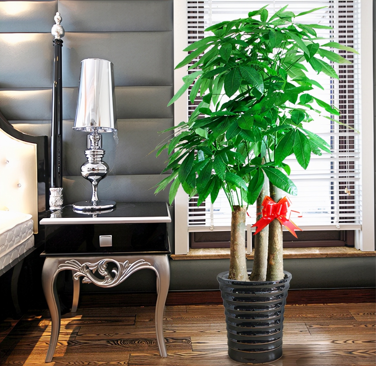 给人养殖什么花适合家养,什么花最好养又适合长期喝