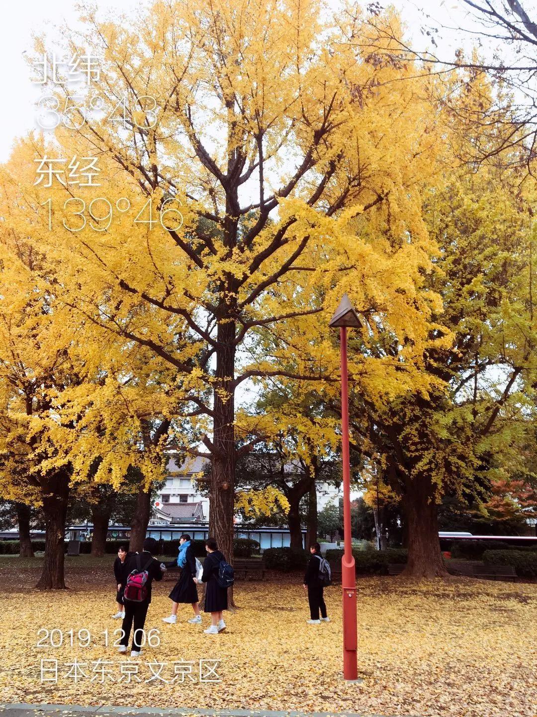 万能张与嬉嬉旅行