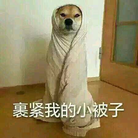 GET中国｜大公开！年轻人瞒着父母的秘密是这些！