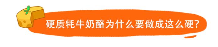 纯牦牛奶酪,西藏牦牛奶酪怎么吃