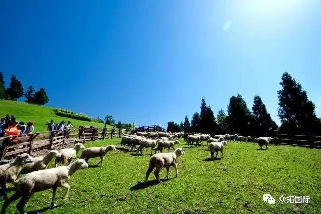 台湾清静农场在哪里,台湾桃园观光农场在哪里
