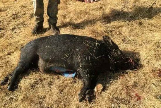 痘痘反复怎么除根护肤,痘痘反反复复怎么彻底祛除