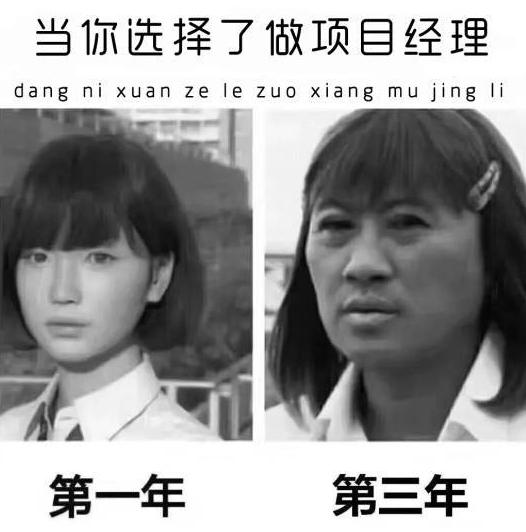 项目经理的真实经验,从普通员工到项目经理成长经历