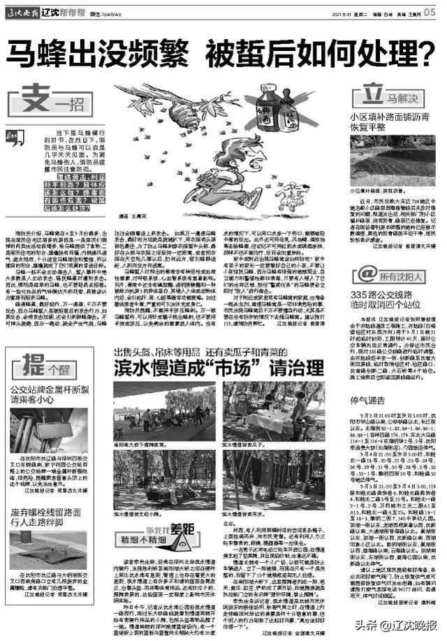 马蜂被蜇怎么办,被马蜂攻击找马蜂最好方法