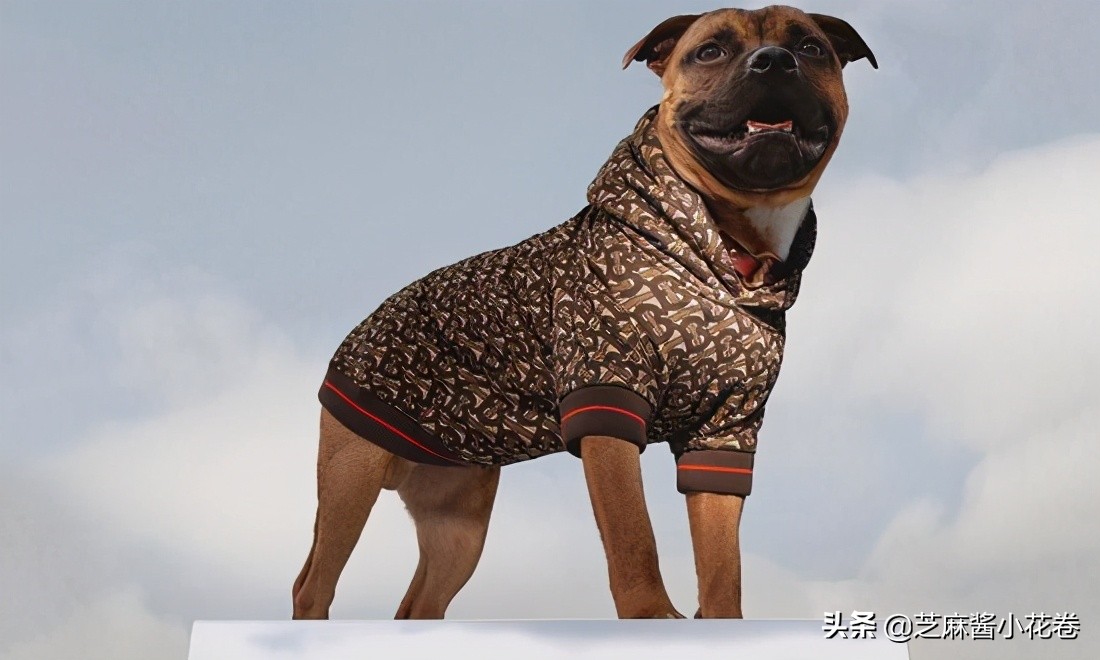 凡尔赛文学其实无处不在,凡尔赛文化盛行