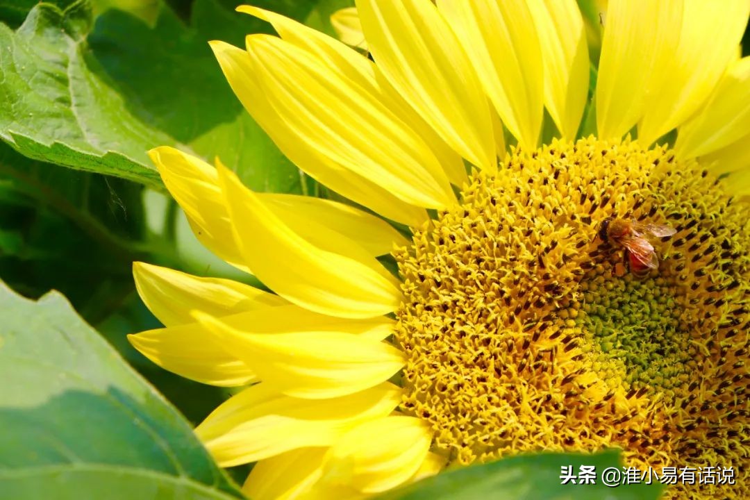 你想要的福利：快乐宝地，美丽倾心！这个便宜你占不占？