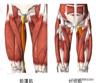 腹股沟拉伤老詹,詹姆斯腹沟拉伤会导致哪里疼