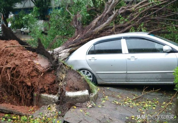 台风天汽车淹了保险赔吗,台风造成的车损保险公司会理赔吗