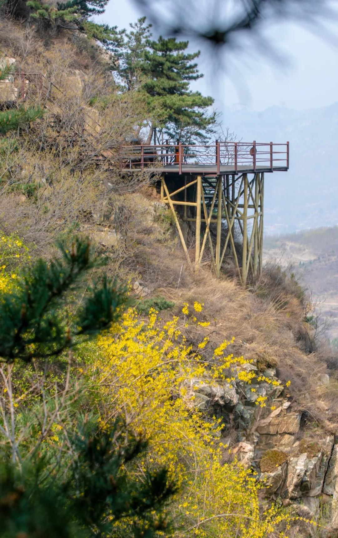 亲子游玩好去处欢乐果亲子农场,快乐六一亲子游农场游玩攻略来袭