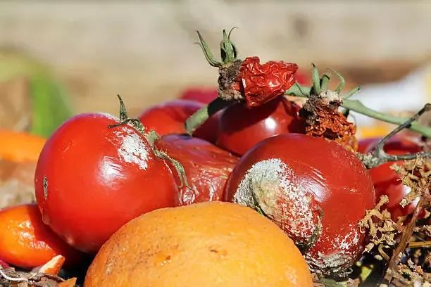 食物烂了一点，还能不能吃？这4类真不能吃，伤肝又伤肾