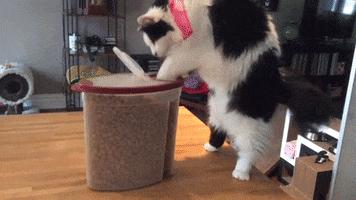 儿子心理有问题怎么办,儿子心理有毛病怎么办