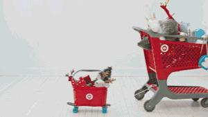 最近很红的costco珍珠奶茶,costco火爆开业