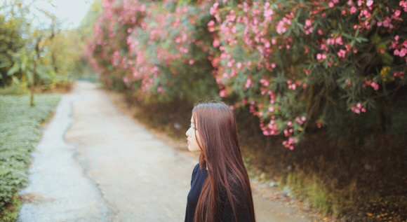 摄影教程30天0基础变身摄影达人,超全的摄影干货