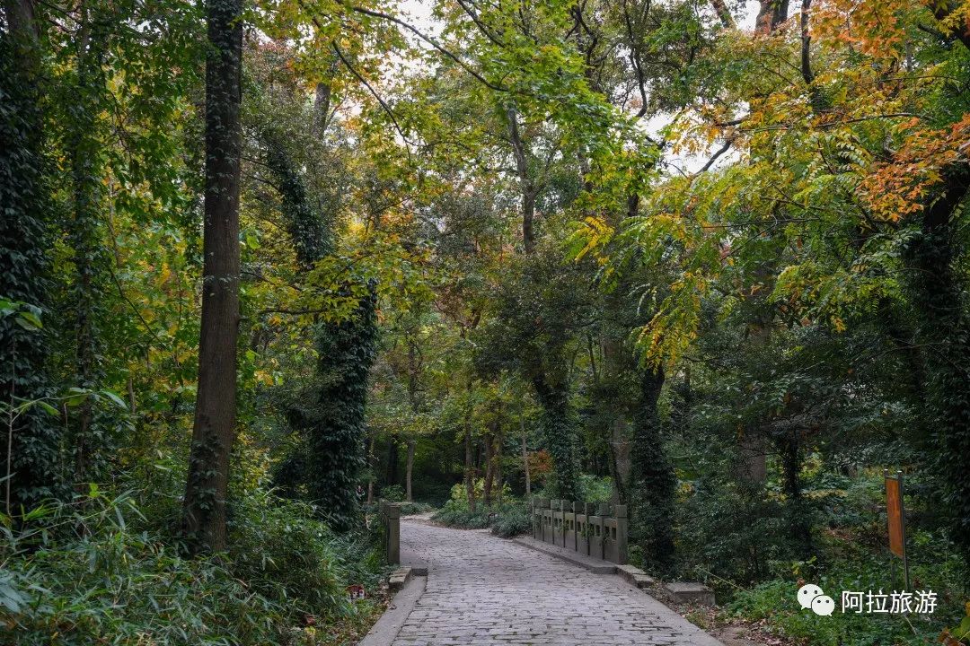 时髦！这座沿海小城居然藏着一波小众新玩法！|“...