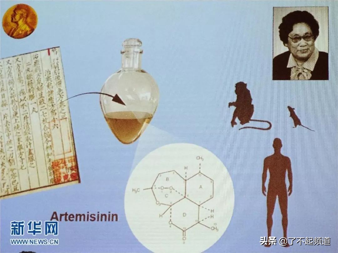 中国科学家获诺贝尔奖,三无科学家获诺贝尔奖视频