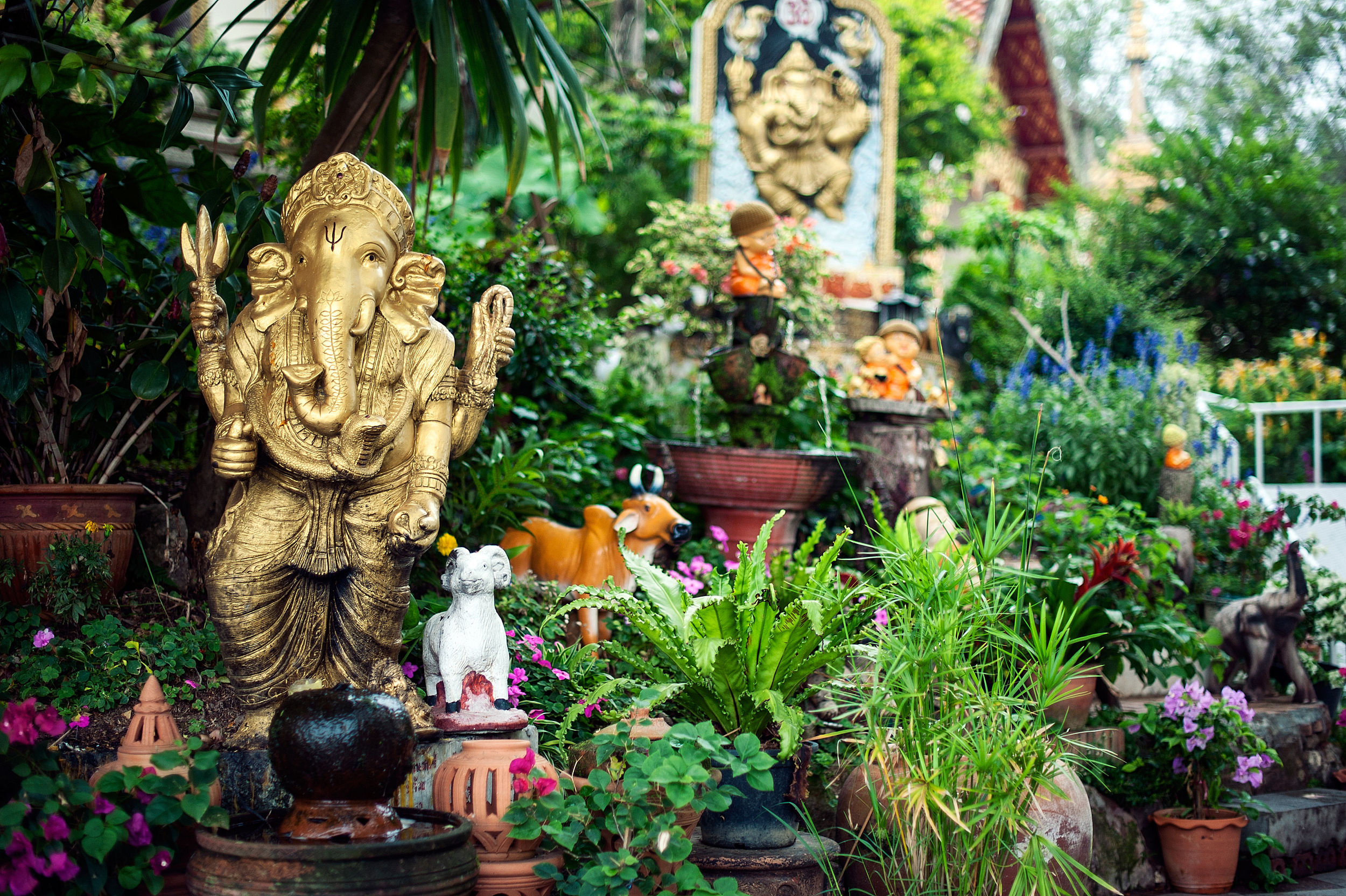 最适合懒人的旅游方法,懒人旅游攻略旅游方案设计