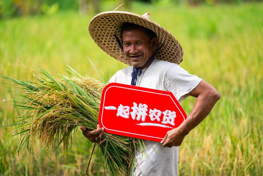 泰国小媳妇有福了！家乡大米辗转1900公里到中国，馋哭不少网友