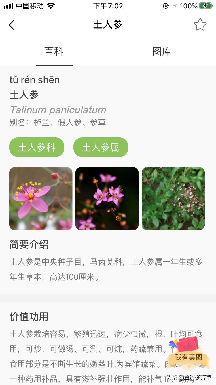 遇到不认识的植物怎么办,遇到不认识的物种你会怎么做