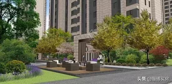 张店最新地块拍卖,淄博张店区中小学划片