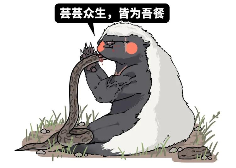 非洲大地最狂动物，动物园里连狮子毒蛇都有，偏偏没有它平头哥