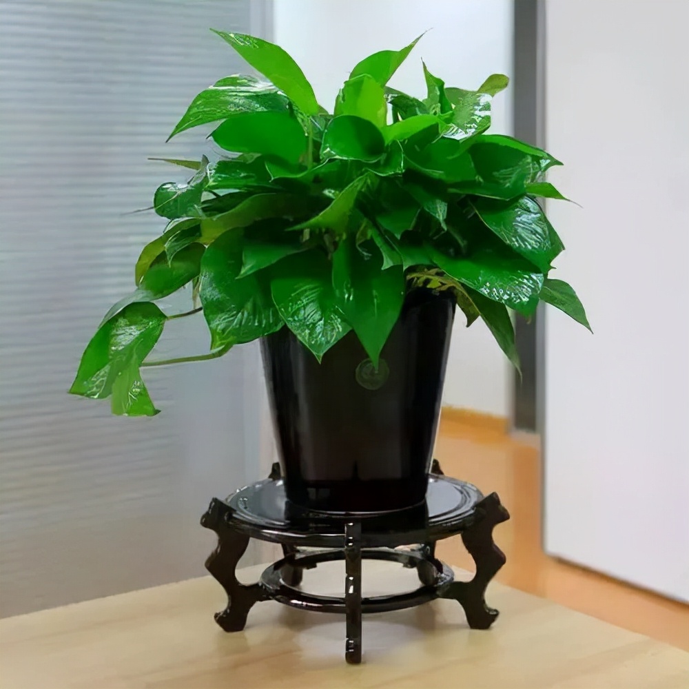 防甲醛口罩怎样去除甲醛,新房装修后甲醛超标如何去除甲醛