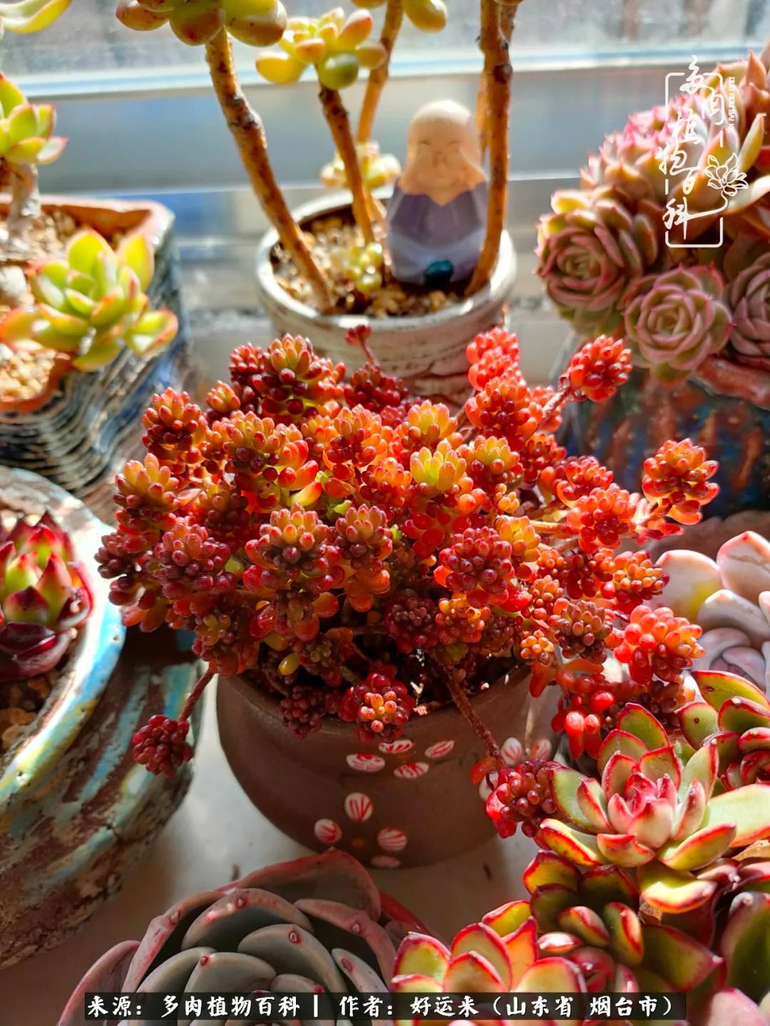 这世上怎么会有那么可爱的小可爱,这世上怎么有这么可爱的小生物