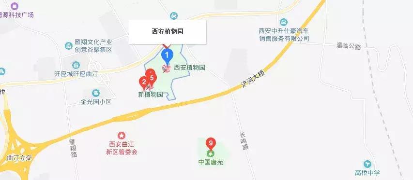 西安郁金香打卡地,去西安哪种郁金香最好