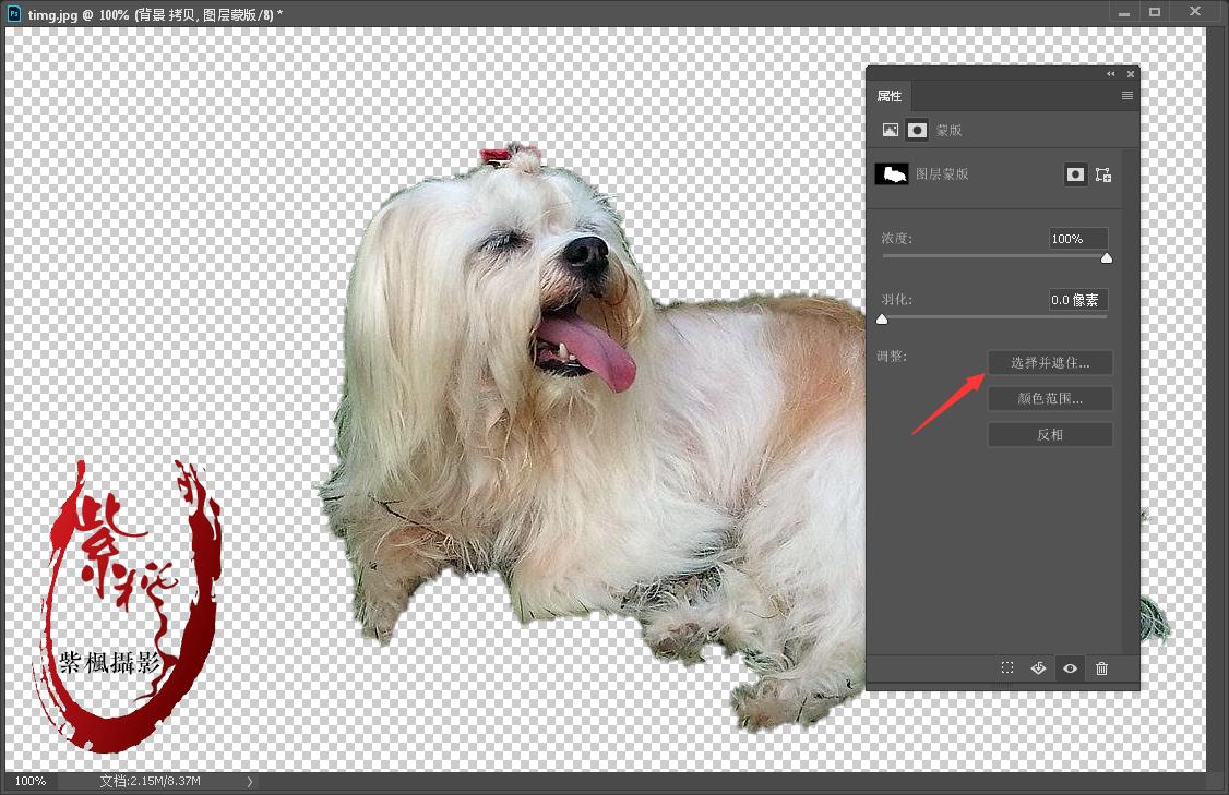 ps2021人物毛发抠图,ps毛发抠图最快又完整的方法