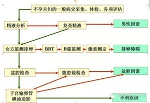 夫妻去医院检查不孕不育,男人检查不孕不育多少钱