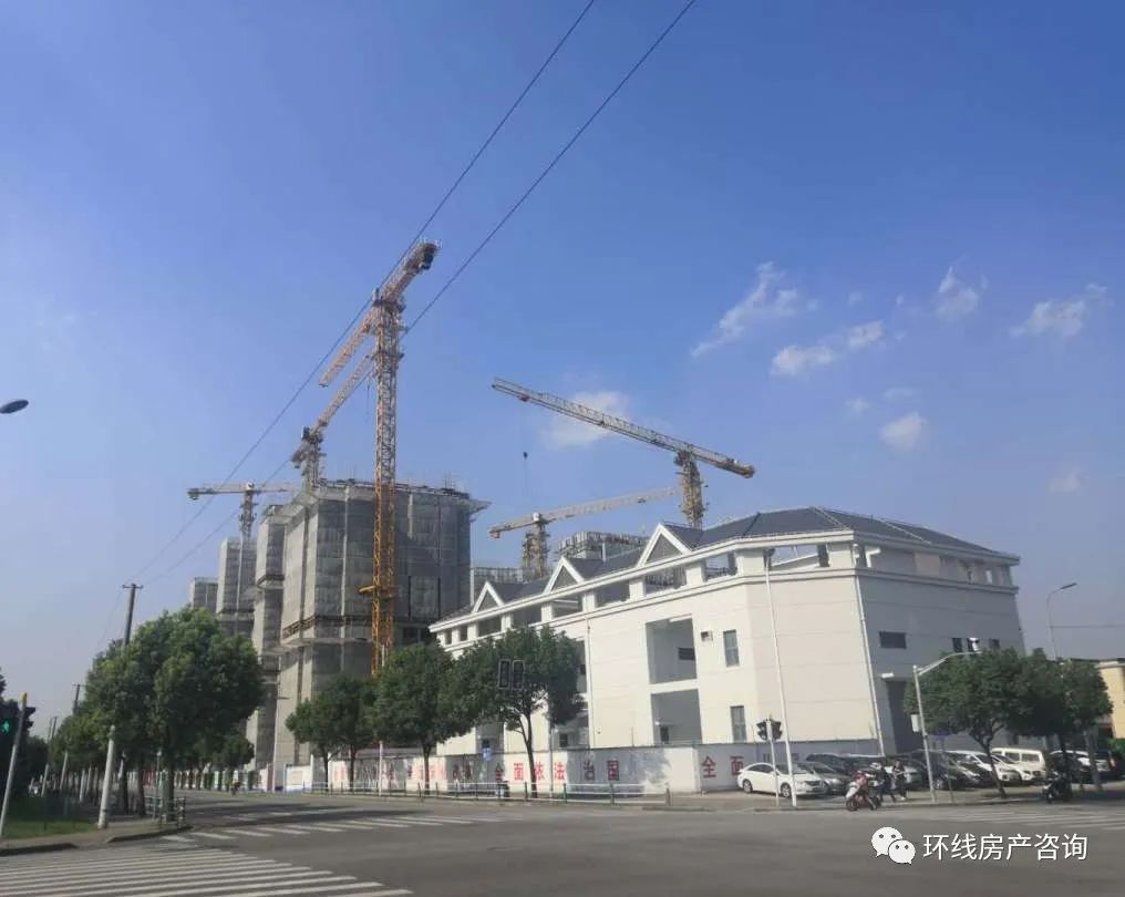 川沙值得买吗,川沙卖观赏鱼